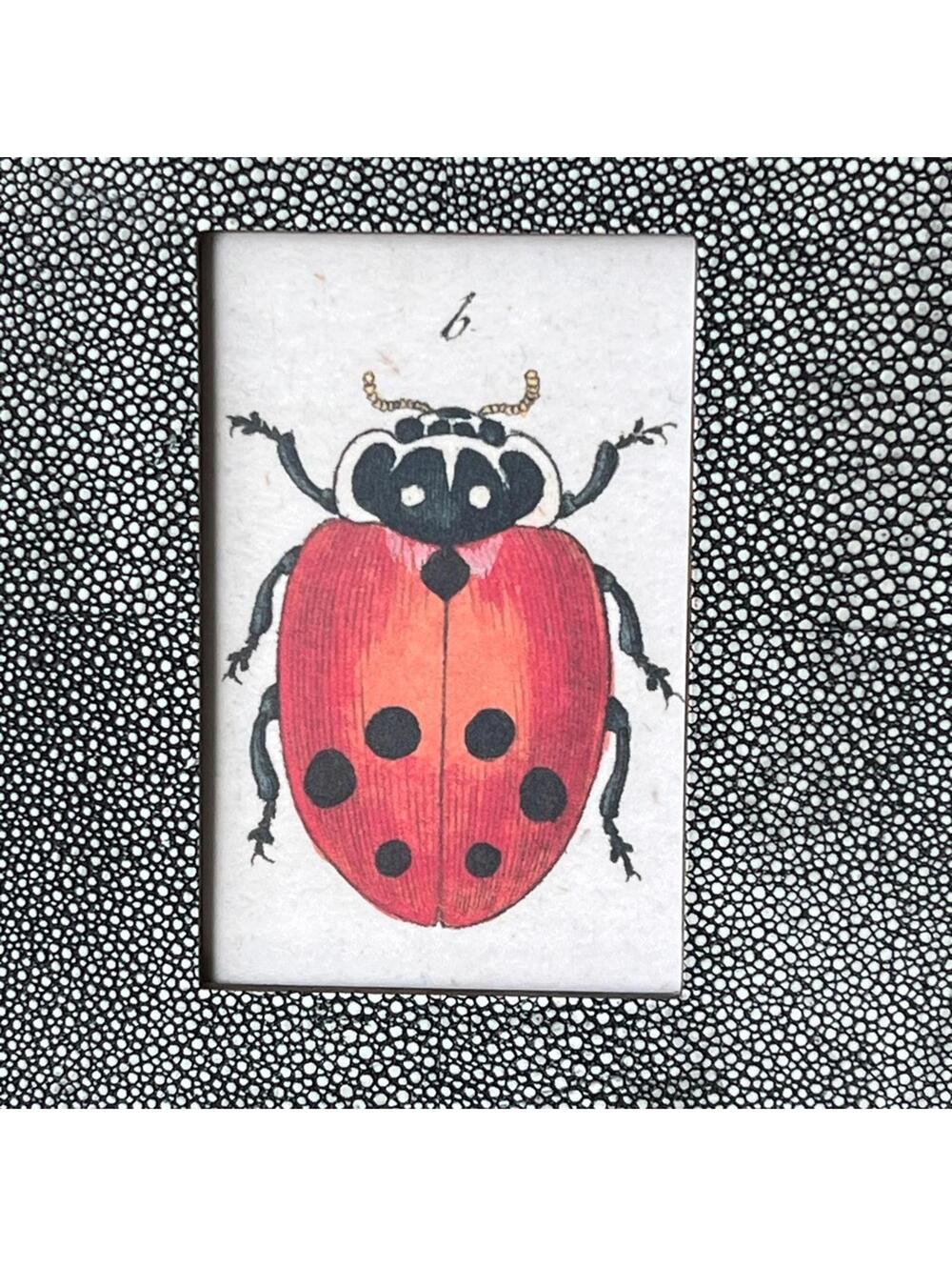 JOHN DERIAN Ladybug Beetle Framed Art Print Polka Dots Modern Folk Craft Style